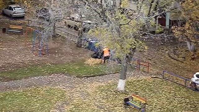 Зачем собирают опавшие листья?! / Why do they collect fallen leaves in Russia?! смотреть онлайн