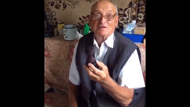 Загадочная история Аманиты Мускарии