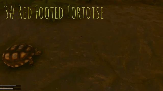 All Reptiles! | Green Hell смотреть онлайн