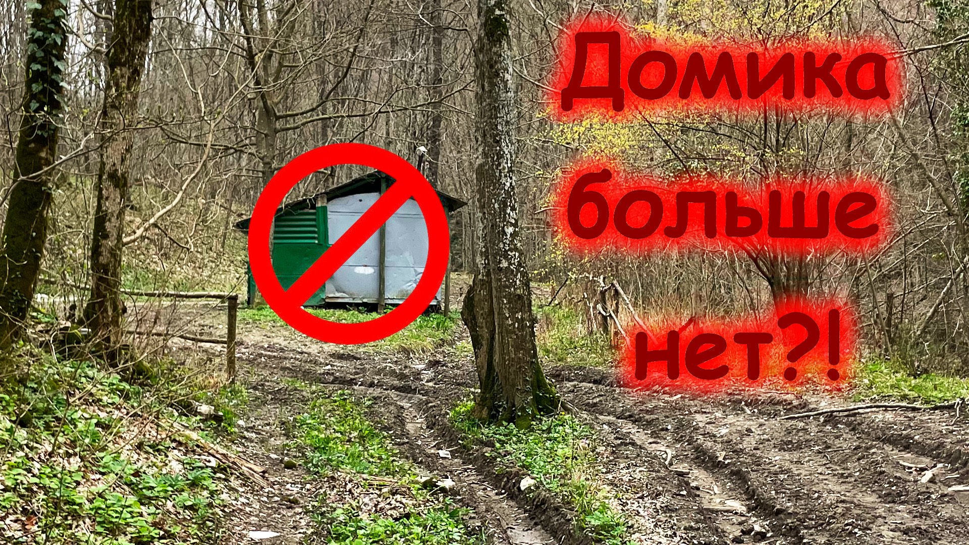 Домик сожгли?! (24-26.03.23)