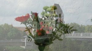 тест фотографий с фотоаппарата SONY HX 300