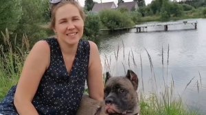 Отзыв. Анастасия о породе кане корсо, о питомнике и об общение кане корсо с детьми. Опыт 2 года