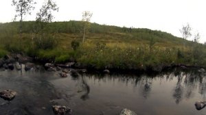 рыбалка на форель в лесном ручье.