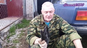 Будни Саши на ранчо?брызговик для ваз2107 ?,