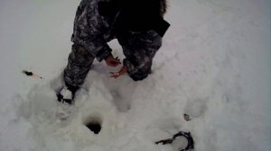 Рыбалка окуня и щуки на Пыздрик - ГАВРИК.