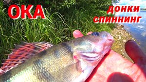 ПОШЁЛ на ЛЕЩА, а ПОЙМАЛ ДРУГУЮ РЫБУ. НОВАЯ УДОЧКА. Рыбалка на ОКЕ в июле.