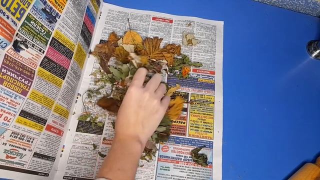 ЧЕМ КОРМИТЬ УЛИТОЧЕК ЗИМОЙ?// Как Сделать Травосмесь ДЛЯ ГИГАНТОВ-АХАТИН?// Alex Li смотреть онлайн