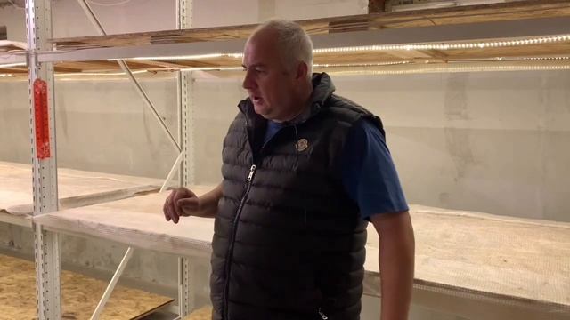 ЛУКОГОН: УРОК 1. Выращивание/ выгонка тюльпанов к 8 Марта в закрытом помещении.