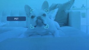 Робота Cozmo прокачали)