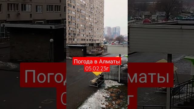 ❗Прогноз погоды в Алматы на 05.02.23 год ❗