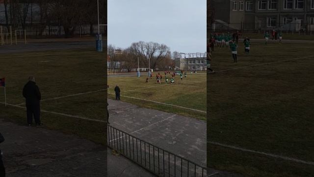 РК "Владимирские львы" - РК МГУ Москва. смотреть онлайн