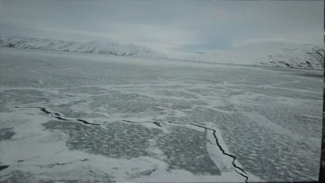 Снежность