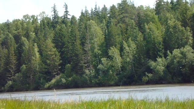 любовь пришла а вы её не ждали смотреть онлайн