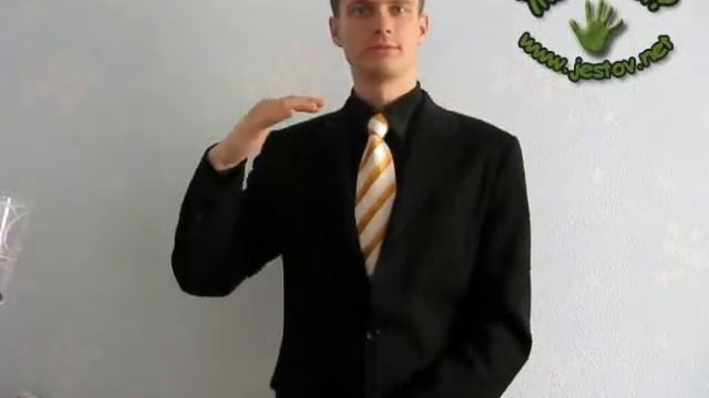 Много (Русский Язык Жестов)