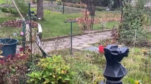 На ДАЧЕ У НЕМЦА????Как выглядит дача в Германии?! Что меня удивило и покорило ?