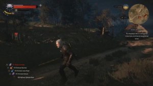 The Witcher III Как делать красивые скриншоты