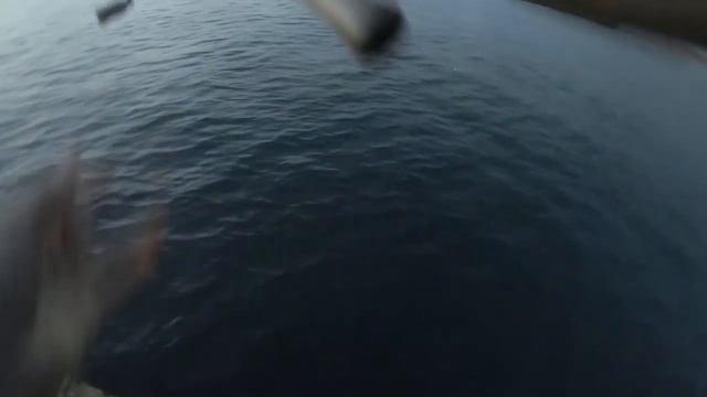 РЫБАЛКА на МОРЕ! СТАВРИДА! ЛОВИМ СТАВРИДУ с БЕРЕГА!