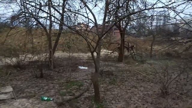 Заготовка пиломатериала