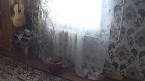 Самый лучший увлажнитель для ГИТАРЫ из массива