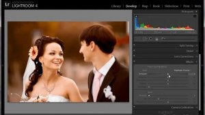 Обработка фотографий в Adobe Photoshop Lightroom   Тонирование