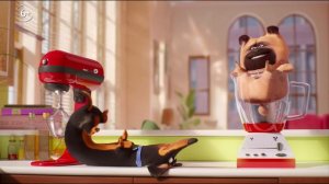 Тайная жизнь домашних животных 2