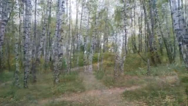 Осень 2016 в Костроме смотреть онлайн