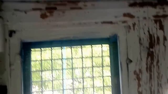 Обзор моей голубятни и голубей смотреть онлайн