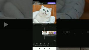 Как делать Эдиты в приложение VivaCut