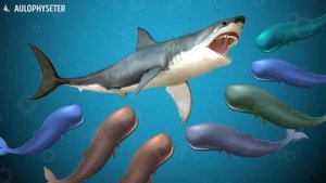 Мегалодон и 6 Его жертв