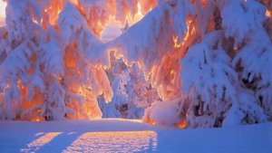 Вячеслав Анисимов - Одинокий путник !