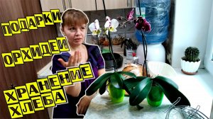 Подарки, орхидеи, хранение хлеба