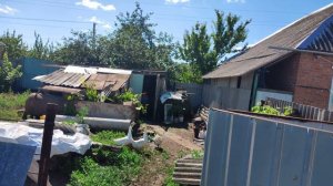 ЖИВУ ОДНА НА ДАЧЕ