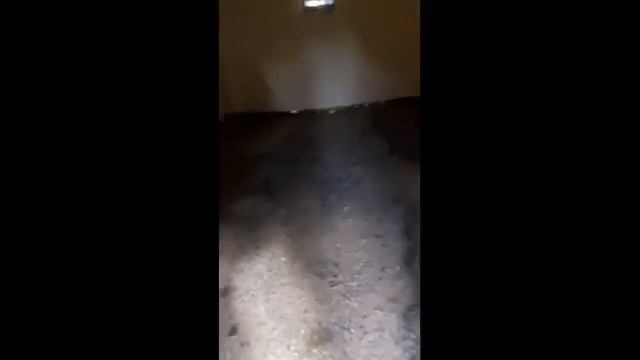 Памир 10 Шымкент спецукрытия смотреть онлайн