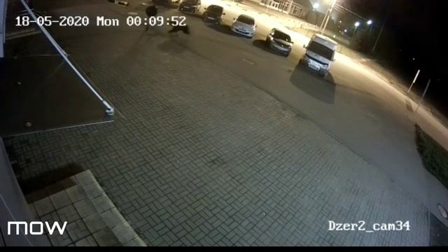 А Ярославле Медведь напал на жителя города смотреть онлайн