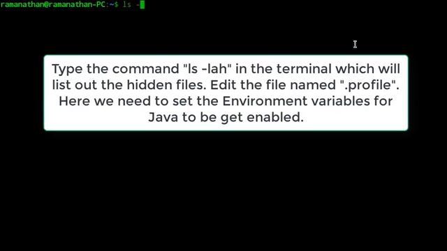 Java 9 (Oracle JDK 9), How to install in Deepin OS 15.4 | Java SE 9
