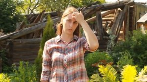 До и после. Как изменился наш участок за 4 года?