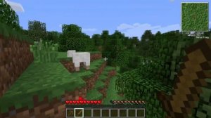 Lp. Лесные Похождения #1 Начало RPG • Манйкрафт