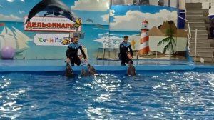 Дельфинарий в Сочи Парк /Адлер