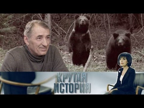 "Крутая история": "Медвежий папа"