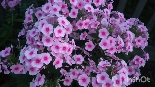 В ПАМЯТЬ О МОЕЙ ЛЮБИМОЙ БАБУШКЕ ?? ПОСЛЕДНИЙ ДЕНЬ НА ЗЕМЛЕ . смотреть онлайн