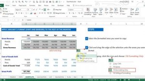 Fill Formatting in Excel