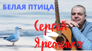 Песня "Белая птица". Исполняет автор Сергей Яременко