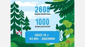 Видеоурок № 1 «8 удивительных фактов о Байкале»