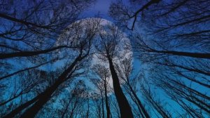 30-Минутная музыка для глубокого сна ★︎ Мгновенно засыпайте ★︎ Высвобождение мелатонина (3)