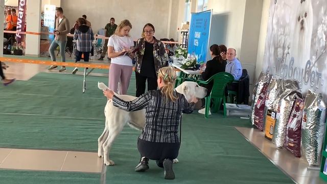 МАНТРА ИЗ ДРЕВНЕГО РОДА 20 месяцев ОСТРОВСКАЯ М.Г: ОТЛ CW CAC ЧРКФ BOS смотреть онлайн