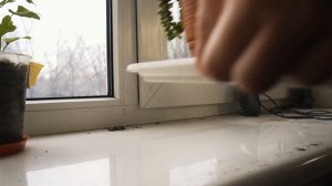 Мой подоконник. Стеллаж для растений своими руками.