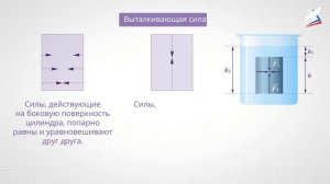 Действие жидкости и газа на погружённое в них тело
