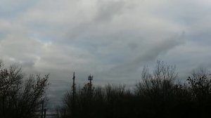 Грачи улетают на ЮГ