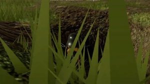 Roblox WW1 The Christmas Spirit