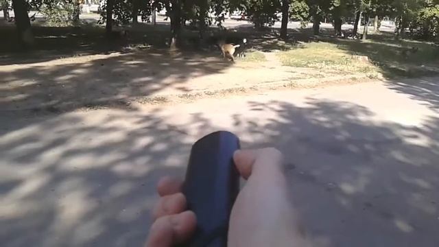 Ультразвуковой отпугиватель собак с Aliexpress за 260 руб ТЕСТ